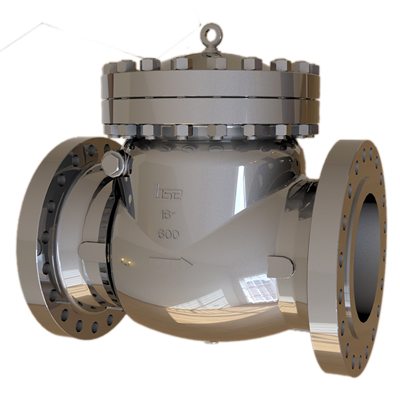 Swing Check Valve