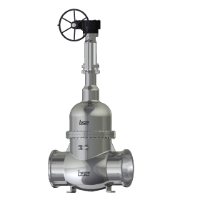 Cryogenic Globe Valve