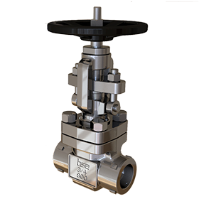 Forged Steel Globe Valve