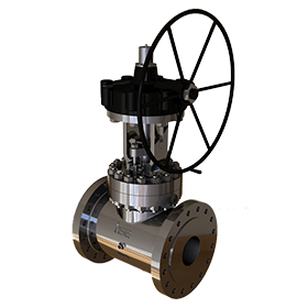 Steam Jacketed Globe Valve