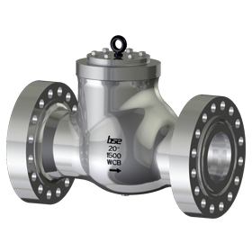 High Pressure Check Valve