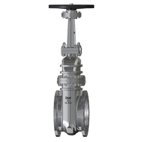 Hydrogen Gate Valve