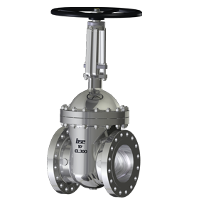 Oxygen Gate Valve